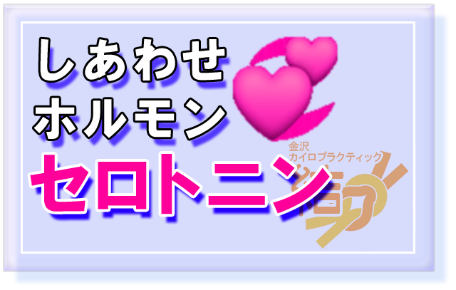 しあわせホルモン　セロトニン