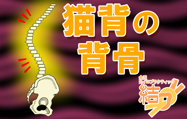 猫背の背骨