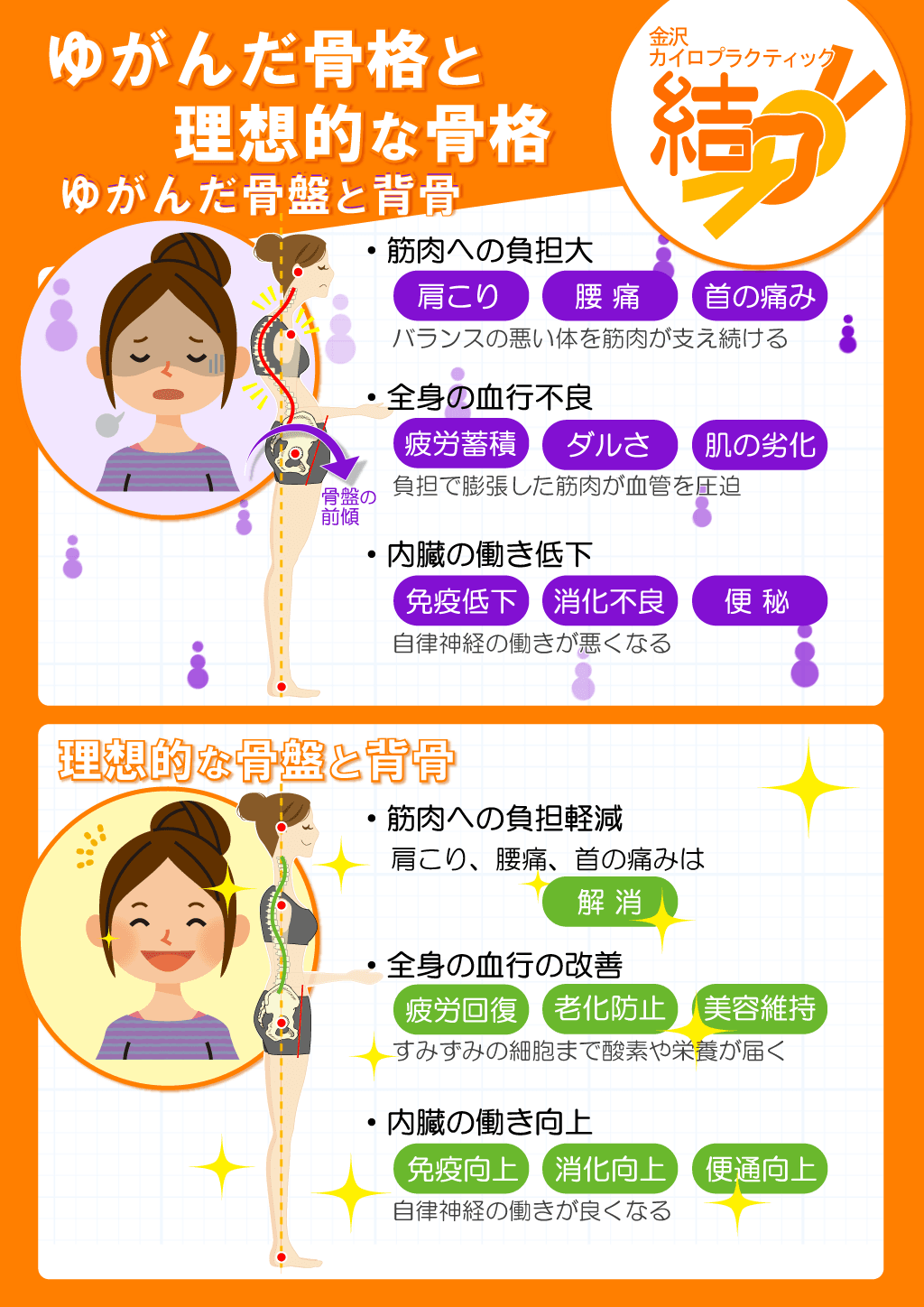 比較!ゆがんだ骨格と理想的な骨格