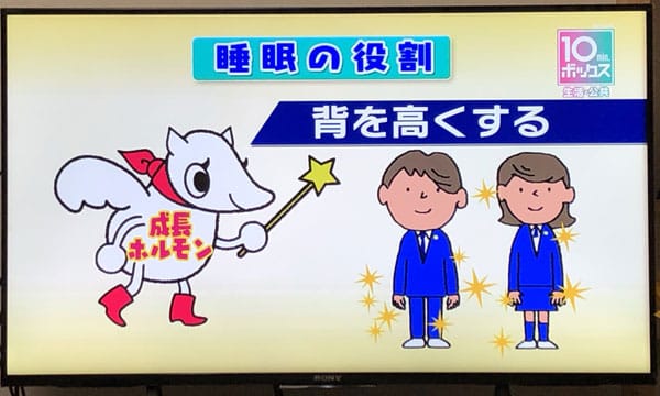 睡眠の役割 背を高くする