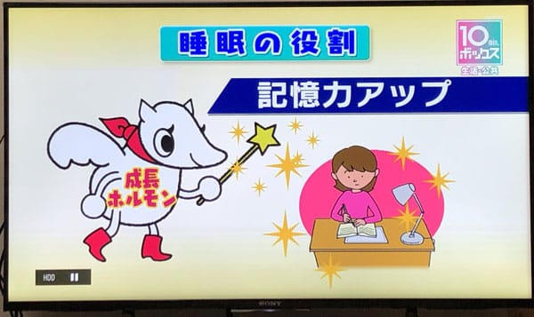 睡眠の役割 記憶力アップ