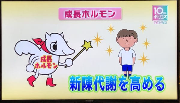 睡眠の役割 新陳代謝を高める