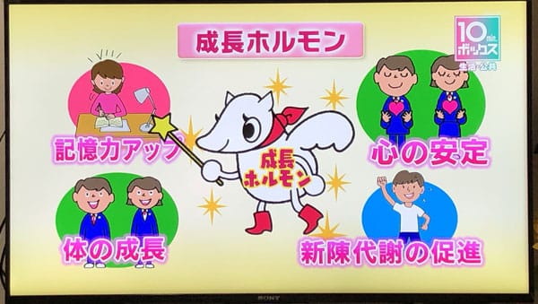 成長ホルモンの働き