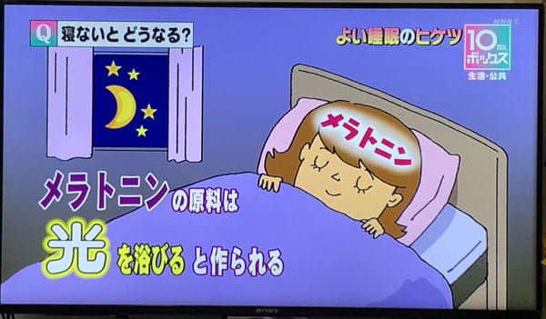 メラトニンの原料は光を浴びると作られる