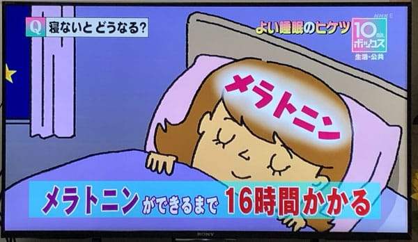 メラトニンができるまで16時間かかる